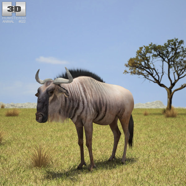 Wildebeest Low Poly 3D-Modell