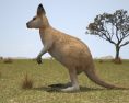 Kangaroo Joey Low Poly Modelo 3d