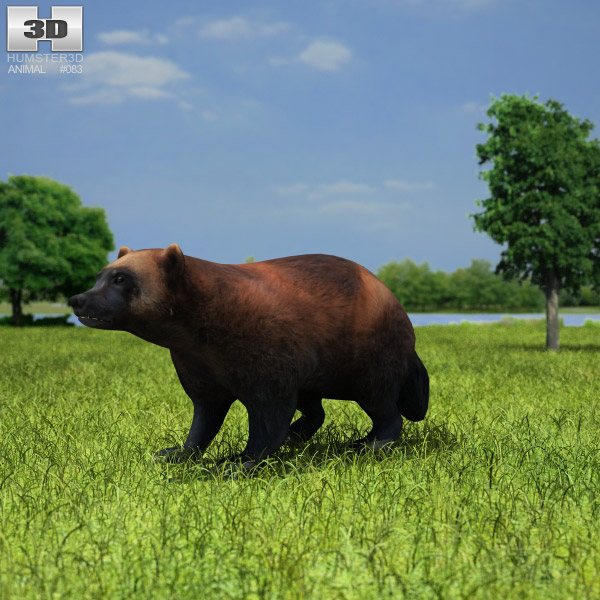 Wolverine Low Poly Modello 3D