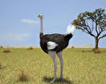 Ostrich Low Poly Modello 3D