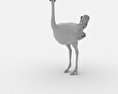 Ostrich Low Poly Modelo 3D