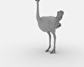 Ostrich Low Poly Modelo 3d
