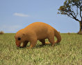 Silky Anteater Low Poly 3D-Modell