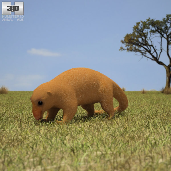 Silky Anteater Low Poly 3D model