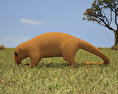 Silky Anteater Low Poly Modelo 3d