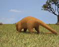 Silky Anteater Low Poly 3D模型