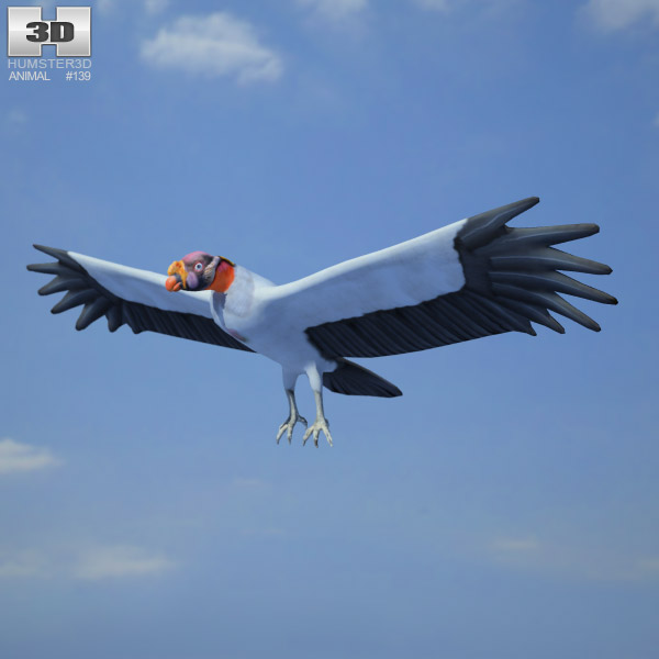 King Vulture Low Poly Modèle 3D