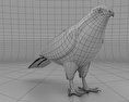 Red-Shouldered Hawk Low Poly 3D模型