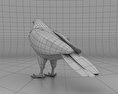 Red-Shouldered Hawk Low Poly 3D модель