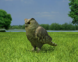 Eurasian Eagle-Owl Low Poly 3D model