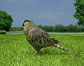 Eurasian Eagle-Owl Low Poly 3d model
