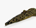 Common Crocodile 3d model