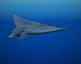 Spotted Eagle Ray Low Poly Modèle 3d