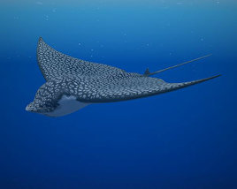 Spotted Eagle Ray Low Poly 3D 모델 