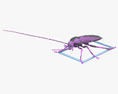 蟑螂 3D模型