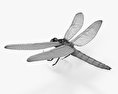 Dragonfly 3d model