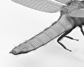 Dragonfly 3d model