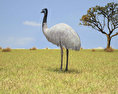 Emu Low Poly 3d model