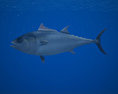 Atlantic Bluefin Tuna Low Poly 3D модель