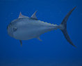 Atlantic Bluefin Tuna Low Poly 3D-Modell