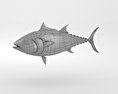 Atlantic Bluefin Tuna Low Poly 3D 모델 