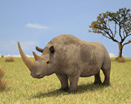 Woolly Rhinoceros Low Poly Modello 3D
