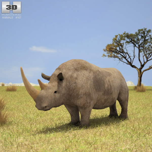 Woolly Rhinoceros Low Poly Modèle 3D