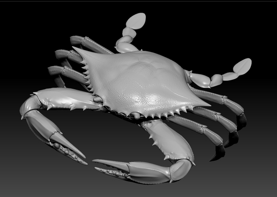 Making of Blue Crab