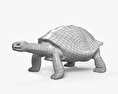 Galapagos Turtle 3d model
