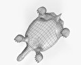 ガラパゴスゾウガメ 3Dモデル