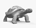 Galapagos Turtle 3d model