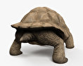 Tortuga gigante de Floreana Modelo 3D