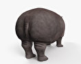 Hippopotamus 3d model