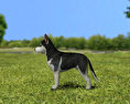 Siberian Husky Puppy Low Poly Modèle 3d