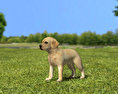 Labrador Retriever Puppy Low Poly Modello 3D