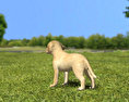 Labrador Retriever Puppy Low Poly Modèle 3d