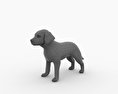 Labrador Retriever Puppy Low Poly Modelo 3D