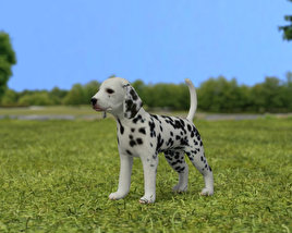 Dalmatian Puppy Low Poly 3D model