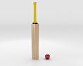 Batte de cricket et balle Modèle 3d