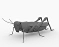 Desert Locust Low Poly Modelo 3D
