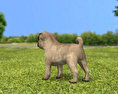 Pug Puppy Low Poly 3D模型