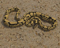 Common Python Low Poly 3d model