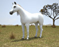Arabian Horse Low Poly Modello 3D