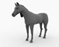 Arabian Horse Low Poly 3D модель