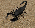 Emperor Scorpion Low Poly 3D模型