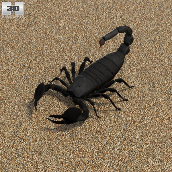 Emperor Scorpion Low Poly Modèle 3D