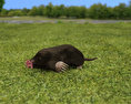Star-Nosed Mole Low Poly 3d model