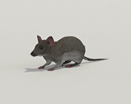 Mouse Gray Low Poly Modello 3D