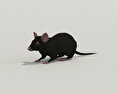 Mouse Black Low Poly Modèle 3d