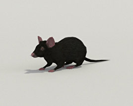 Mouse Black Low Poly 3D model